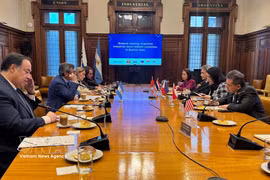 Réunion entre les ambassadeurs de l’ASEAN et l’Union industrielle argentine (UIA). Photo: VNA