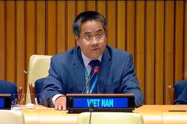 Nguyen Hai Luu, ministre-conseiller et chef adjoint de la Mission permanente du Vietnam auprès de l'ONU. Photo: VNA