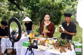 Des créateurs de contenu aident les agriculteurs à vendre des longanes et d'autres produits agricoles issus du programme OCOP (Une commune, un produit) sur TikTok. Photo : VNA