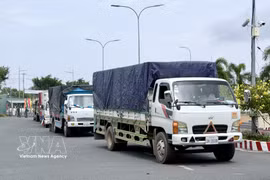 Des camions de marchandises attendent d’effectuer les formalités d’importation au poste-frontière international routier de Khanh Binh. Photo : VNA