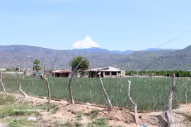 Zone centrale du projet de construction de la centrale nucléaire de Ninh Thuận 2 située dans le hameau de Thai An, commune de Vinh Hai. Photo: VNA 