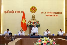 Le président de l'Assemblée nationale, Tran Thanh Man, à la réunion. Photo: VNA
