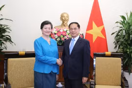 Le vice-Premier ministre Bui Thanh Son reçoit l'ambassadrice du Cambodge au Vietnam. Photo: VNA