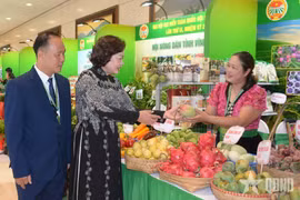 La vice-présidente de l'Assemblée nationale, Nguyen Thi Hong, et des délégués visitent le stand présentant les produits agricoles de la province de Son La ayant obtenu le label OCOP (Une commune, un produit), exposé lors du 9e Congrès national de l'Association des agriculteurs du Vietnam (mandat 2026-2031). Photo : qdnd.vn