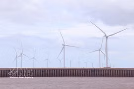Ca Mau mise sur le développement des énergies renouvelables, en tirant parti de son atout que représente un littoral s'étendant sur plus de 310 km. Photo: VNA