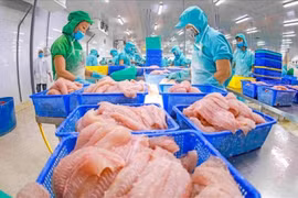  Production de pagasius. Photo: VNA