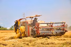 La production agricole figure parmi les principaux secteurs émetteurs de gaz à effet de serre. Photo: VNA