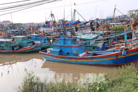 Ho Chi Minh-Ville intensifie la clôture des dossiers de violations liées à la pêche illicite (INN). Photo: VNA