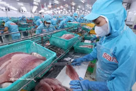 Transformation de filets de pangasius destinés à l'exportation dans l'usine du groupe Sao Mai, province d'An Giang. Photo : VNA