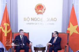 Le ministre des Affaires étrangères Le Hoai Trung (droite) reçoit Roman Roun, président du Parti communiste de Bohême et Moravie (KSCM) de la République tchèque. Photo: VNA
