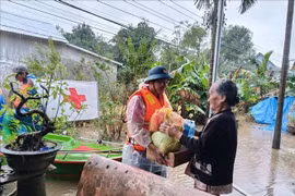 Le Comité central de la Croix-Rouge vietnamienne lance une opération de secours d’urgence pour venir en aide aux populations touchées par les inondations qui ont dévasté six provinces du Centre. Photo: VNA