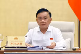 Tran Cam Tu, membre du Politburo et membre permanent du Secrétariat du Comité central du Parti. Photo: VNA