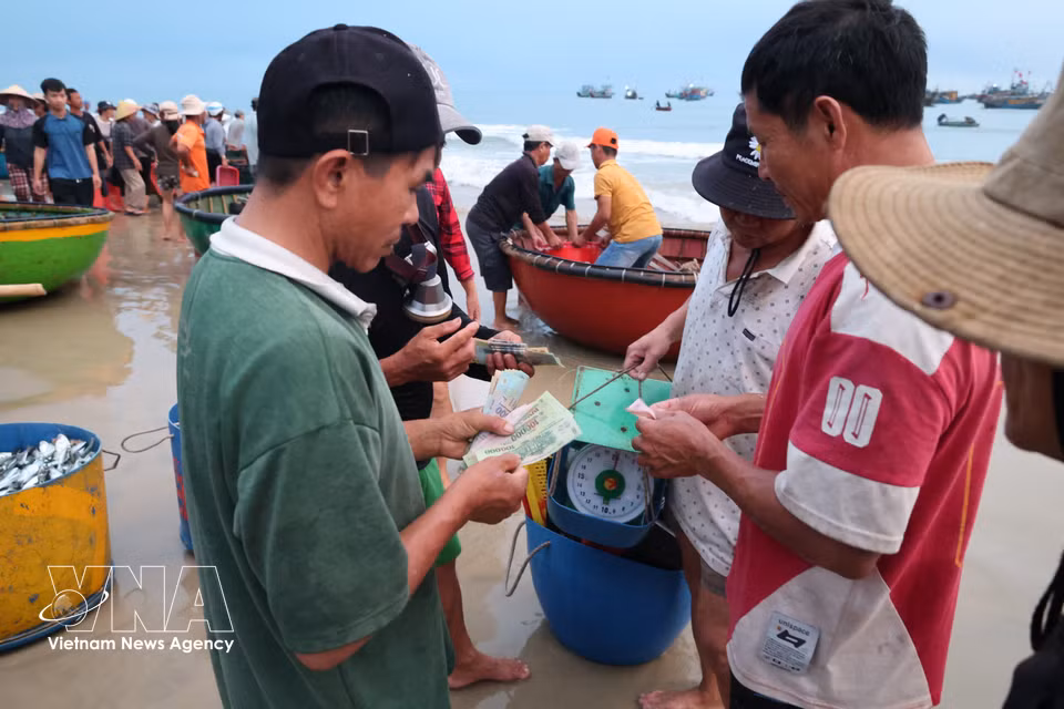 Les pêcheurs vendent directement les produits de la mer rapportés au terme de chaque sortie nocturne.