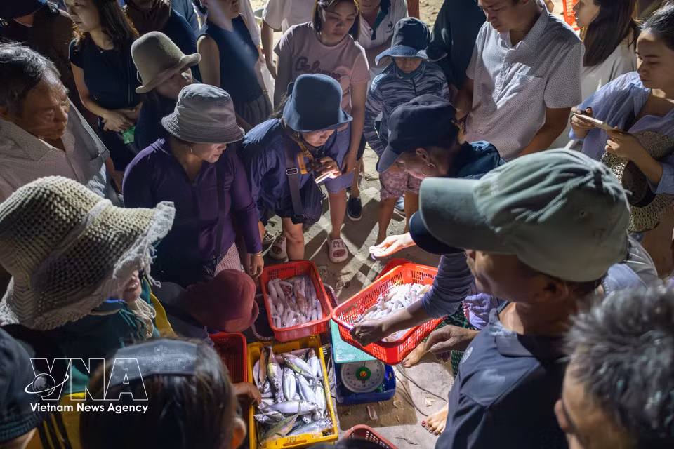 Les produits de la mer sont triés à même le rivage avant d’être chargés dans des véhicules à destination des marchés et des points de vente de la région.