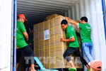 Premier lot de sucre de coco biologique OCOP de Tra Vinh exporté aux États-Unis. Photo ; VNA
