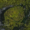 Le gouffre abrite un écosystème isolé, caractérisé notamment par de grands arbres arrivés à maturité et des formations géologiques susceptibles. Photo: VNA
