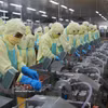 Au 15 octobre 2026, le montant cumulé des échanges de marchandises du Vietnam, à l’exportation comme à l’importation, atteignait 945 milliards de dollars, en hausse de 31,4 % sur un an. Photo : VNA