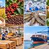 Pour atteindre l'objectif de plus de 74 milliards de dollars sur l'ensemble de l'année 2026, les exportations de produits agricoles, sylvicoles et aquatiques devront atteindre près de 6 milliards de dollars par mois. Photo: nhandan.vn