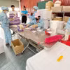 Modèle de startup de Lanh Thi Xuyen, dans la commune de Tien Luc, crée de nombreux emplois pour les femmes locales. Photo: https://baobacninhtv.vn/