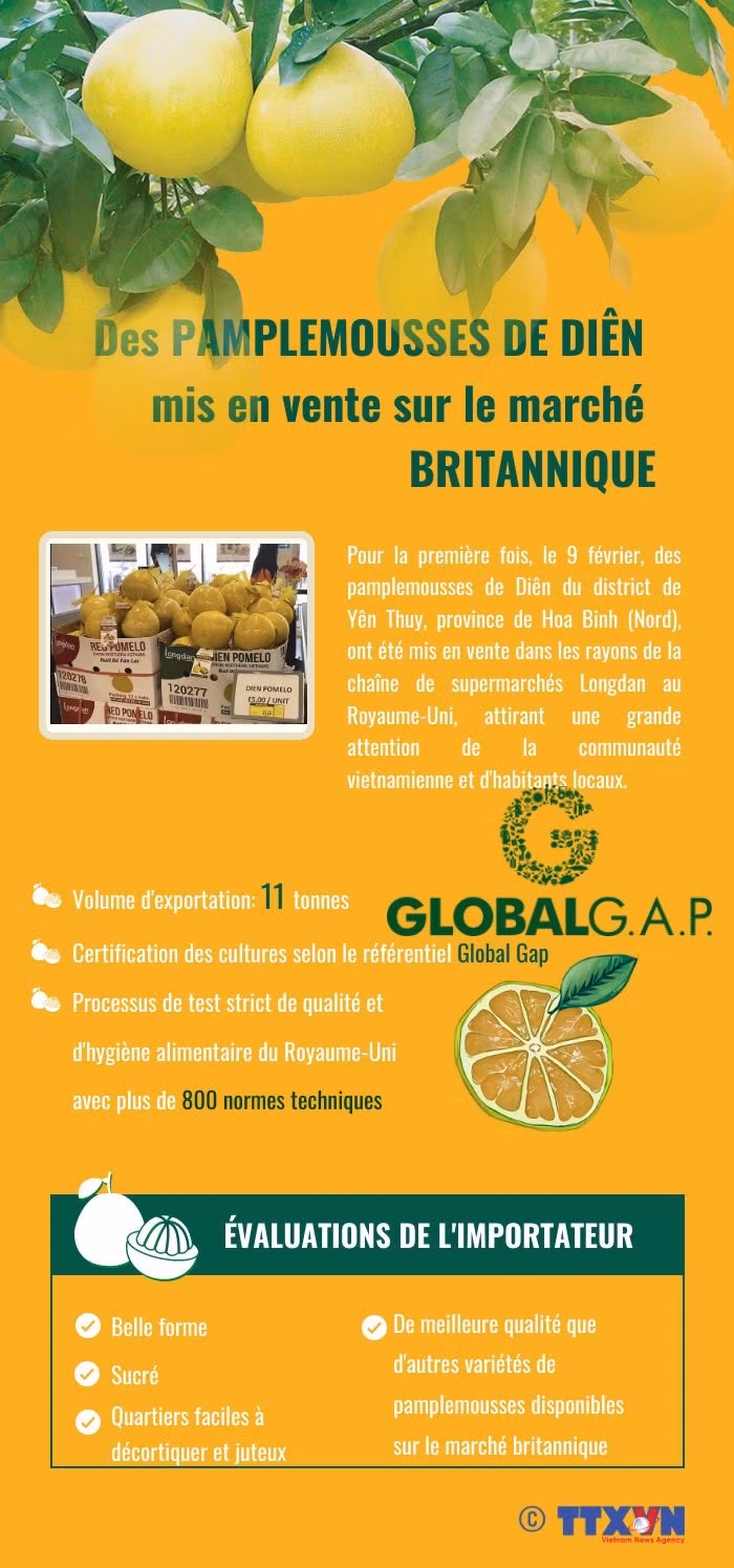 Des pamplemousse de Diên mis en vente sur le marché britannique ảnh 1