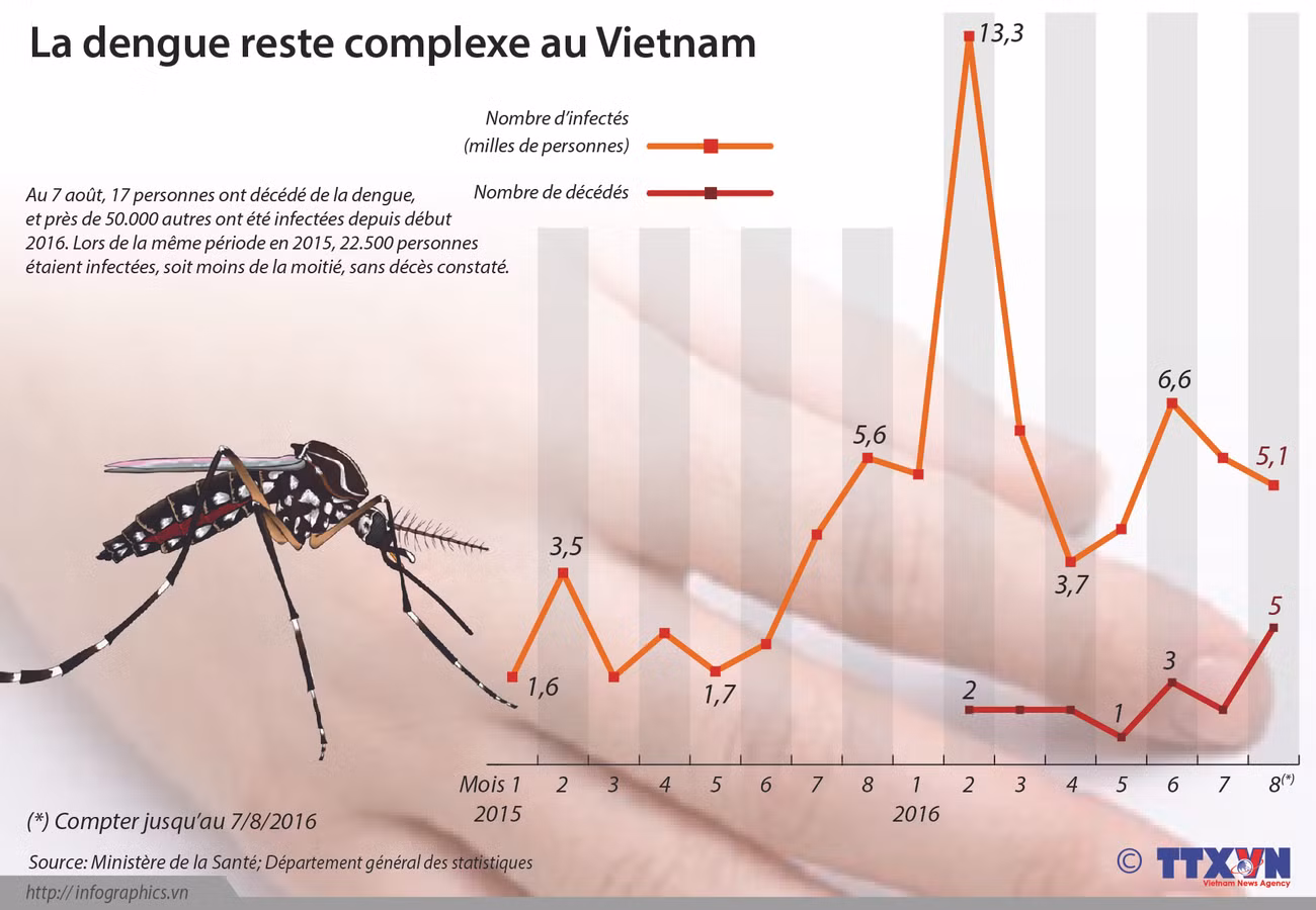 La dengue reste complexe au Vietnam ảnh 1 La dengue reste complexe au Vietnam ảnh 1