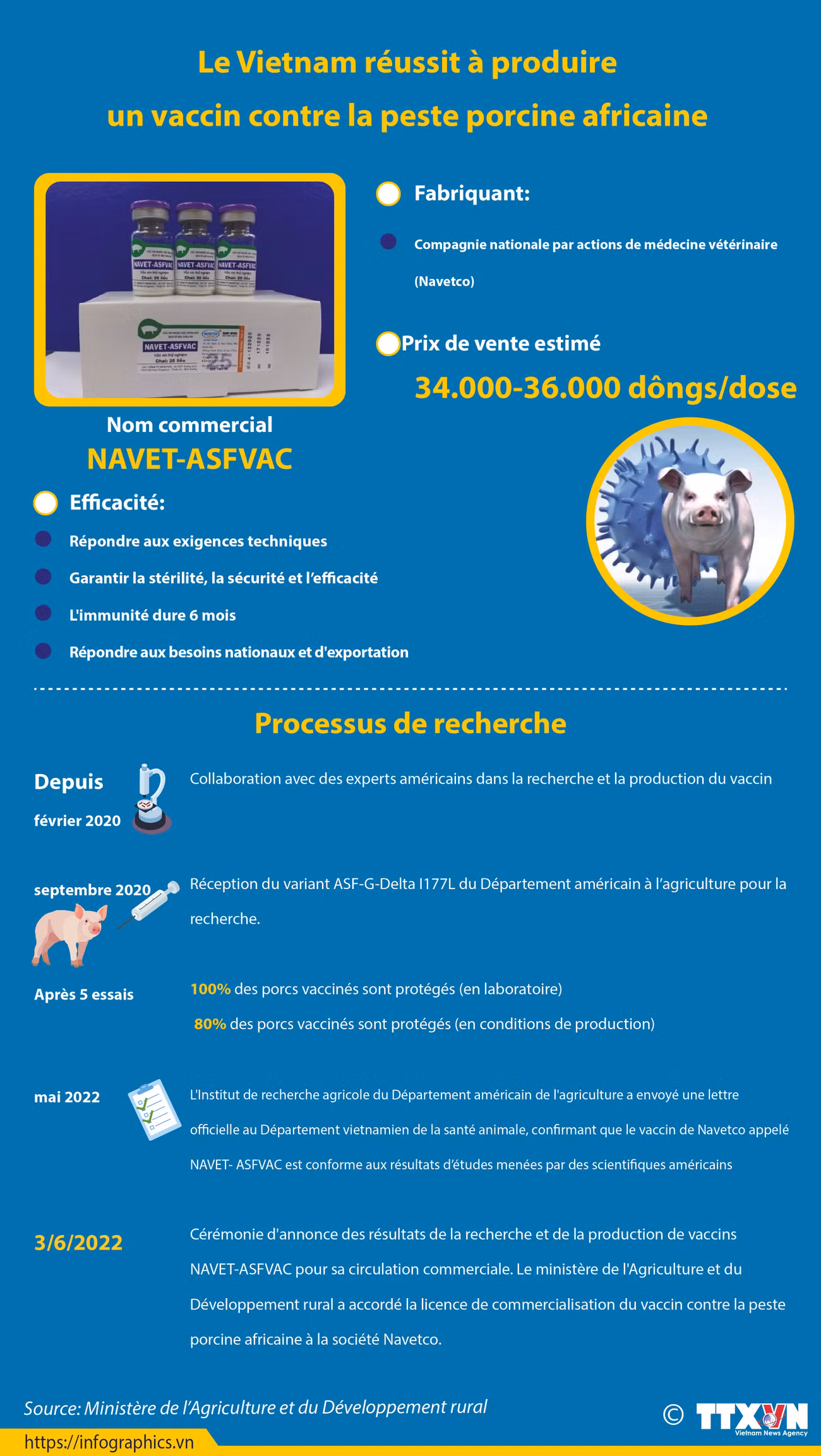 Le Vietnam réussit à produire un vaccin contre la peste porcine africaine ảnh 1 Le Vietnam réussit à produire un vaccin contre la peste porcine africaine ảnh 1
