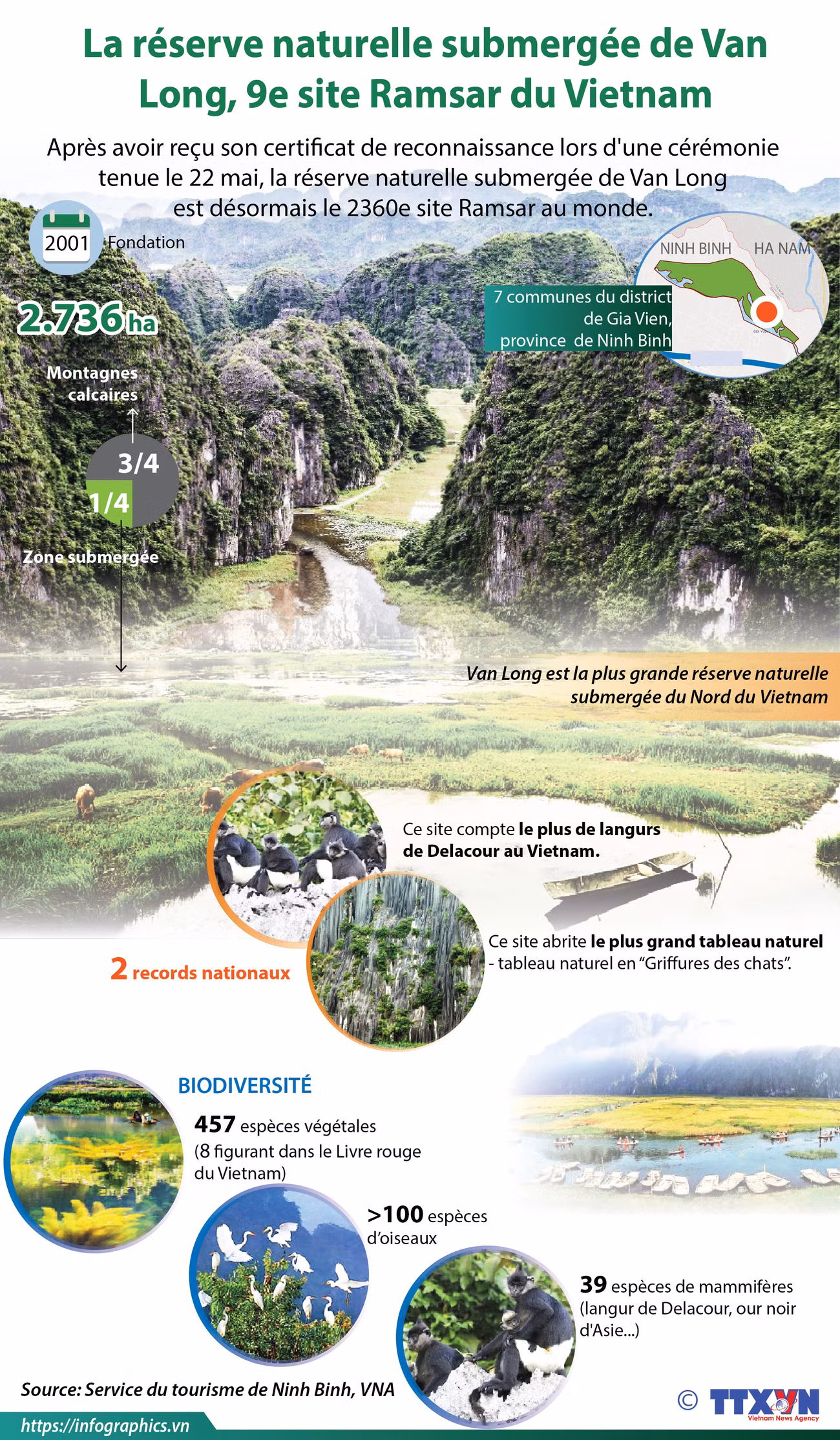La réserve naturelle submergée de Van Long, 9e site Ramsar du Vietnam ảnh 1