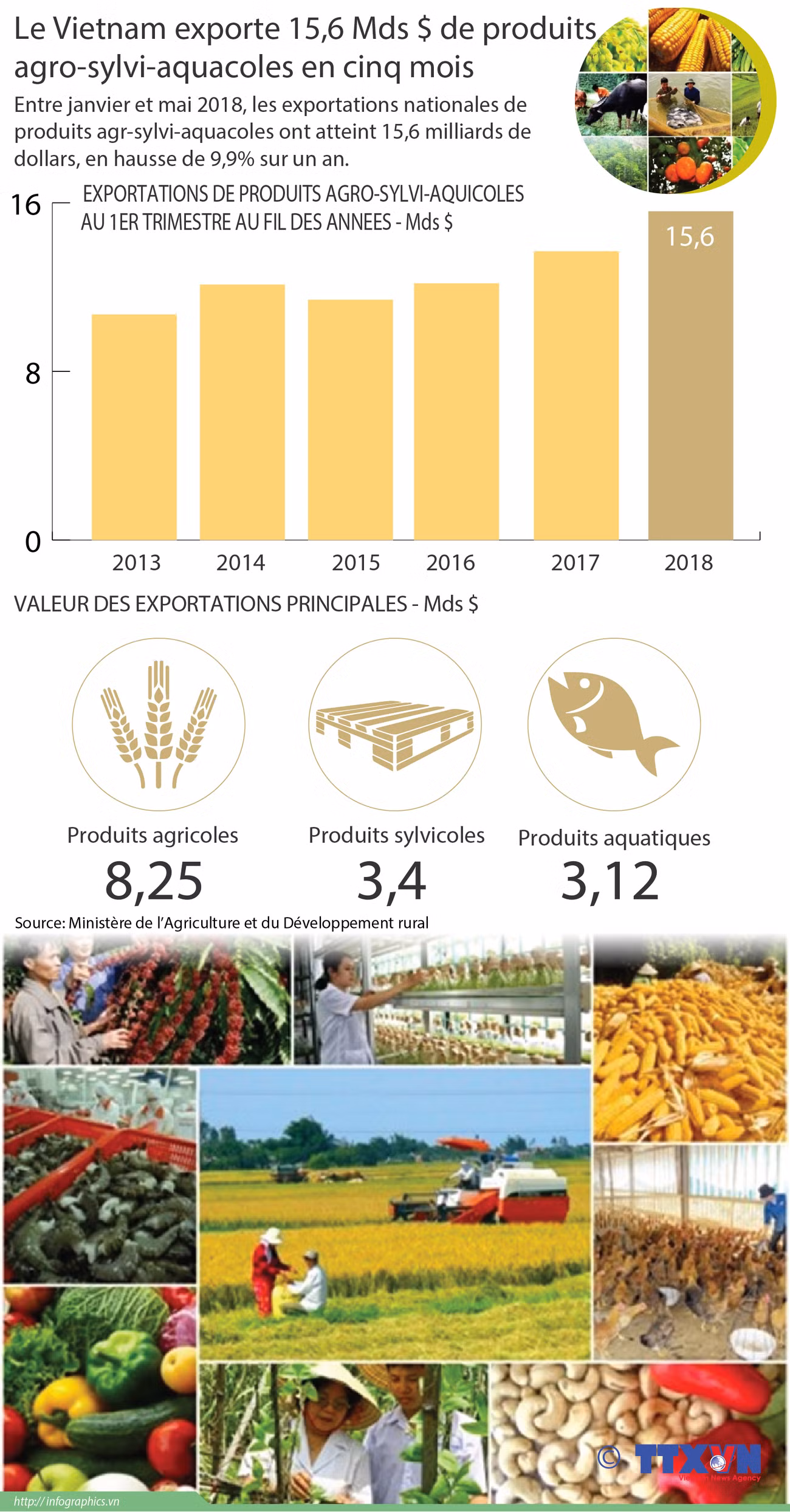 Le Vietnam exporte 15,6 Mds $ de produits agro-sylvi-aquacoles en cinq mois ảnh 1