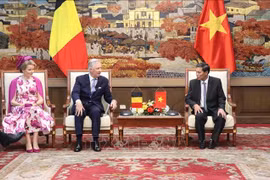 Le Roi et la Reine des Belges en visite de travail à Hai Phong. Photo: VNA