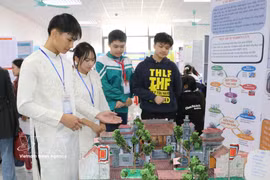 Projets d’élèves présentés lors d’un concours scientifique et d’une journée STEM à Ninh Binh, en janvier 2026. Photo : VNA