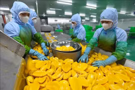 Usine de la Société par actions de fruits et légumes d'An Giang (province de Lam Dong). Photo: VNA