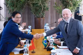 Le Premier ministre Pham Minh Chinh et le président brésilien, Luiz Inacio Lula da Silva. Photo: VNA