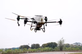 La coopérative de jeunesse Nam Dai Duong, dans la commune de Nghia Hung (province de Ninh Binh), utilise des drones pour le semis du riz. Photo d'illustration : Nguyen Lanh - VNA