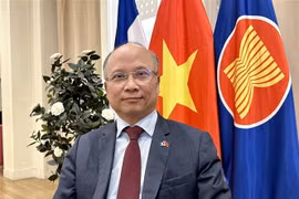 L’ambassadeur du Vietnam en France, Dinh Toan Thang. Photo: VNA