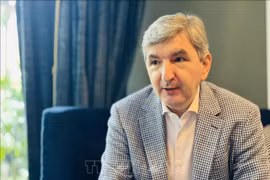 l’ambassadeur de Lituanie à Singapour, également accrédité au Vietnam, Darius Gaidys. Photo: VNA