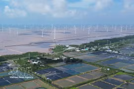 Un projet éolien en mer dans la commune de Dong Hai, province de Ca Mau. Photo : VNA