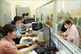 Des agents de la fonction publique de la commune de Thai My (Ho Chi Minh-Ville) traitent les documents administratifs. Photo : VNA