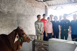 Les autorités de Hung Yen aident les habitants des zones défavorisées à accéder à des politiques de réduction durable de la pauvreté. Photo: https://suckhoedoisong.vn/