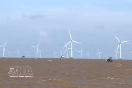 Le parc éolien offshore de la société par actions Tien Giang Wind Power. Photo : VNA