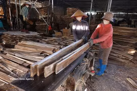 Transformation de bois issu de forêts de plantation dans une entreprise de Bac Ninh. Photo : VNA