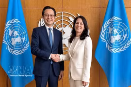 L’ambassadeur Do Hung Viet, chef de la Mission permanente du Vietnam auprès des Nations unies, et la présidente de l’Assemblée générale de l'ONU, Annalena Baerbock. Photo: VNA
