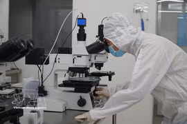 Le laboratoire de technologies des semi-conducteurs du Centre de recherche et de développement du Parc de haute technologie de Ho Chi Minh-Ville est doté d’équipements modernes. Photo : VNA