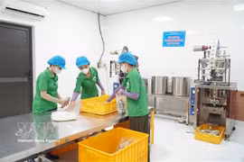 De nombreuses entreprises ont investi dans la science, la technologie et l'innovation afin de développer des modèles de production propres et sûrs. Photo : VNA