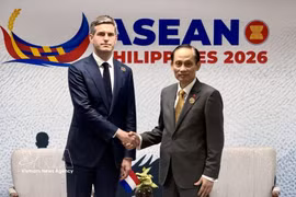 Le ministre vietnamien des Affaires étrangères Le Hoai Trung (à droite) et son homologue néerlandais Tom Berendsen. Photo : VNA