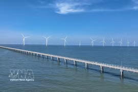 Parcs éoliens de Hoa Binh 1 et 2, province de Ca Mau. Photo : VNA