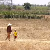 Une grand-mère et son petit-enfant, membres de l'ethnie Rai de la commune de Hàm Cân, ancienne province de Binh Thuân, vont acheter de l'eau sous la chaleur de midi, en 2024. Photo : VNA