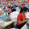 La part des marchandises vietnamiennes demeure dérisoire au sein du CPTPP, représentant à peine 1% du volume global des importations des pays membres. Photo: VNA