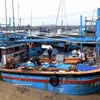 Des pêcheurs dans le port de pêche de Dông Tac (district de Phu Yên, province de Dak Lak) se préparent à prendre le large. Photo : VNA