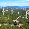 Grâce à des conditions topographiques idéales et des vents réguliers, la région a attiré des dizaines de projets majeurs représentant des investissements de milliers de milliards de dôngs. Photo: VNA