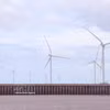 Ca Mau mise sur le développement des énergies renouvelables grâce à son atout que constitue un littoral de plus de 310 km. Photo : VNA